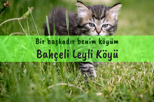 Bahçeli Leyli Köyü